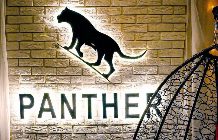 Отзывы Panther